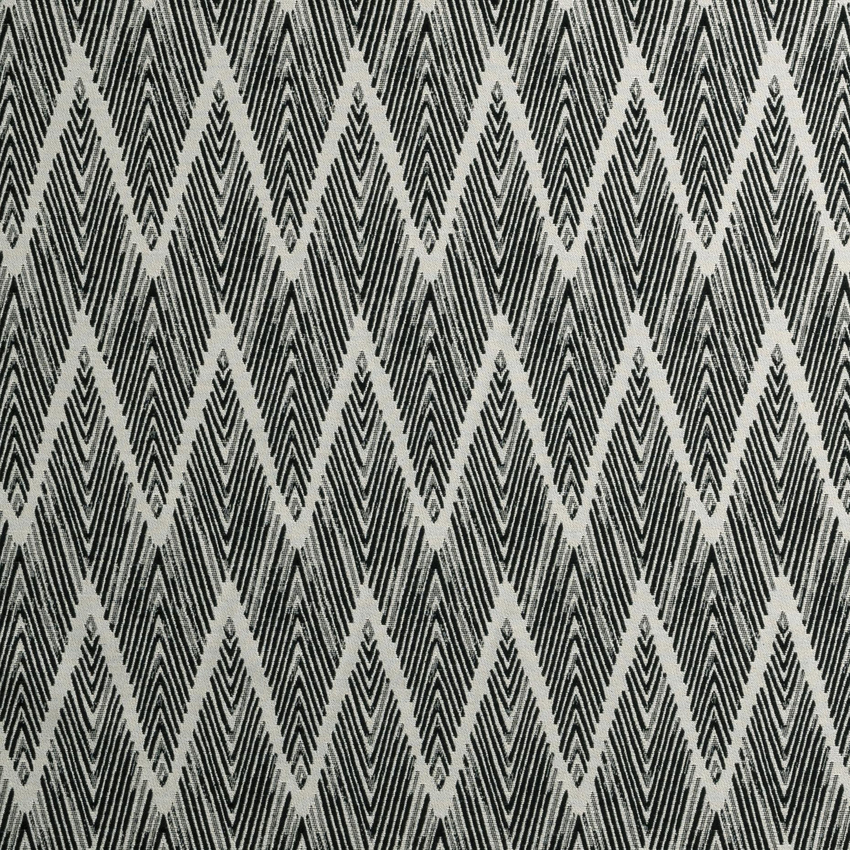 Clarke & Clarke BW1022 BLACK/WHITE Upholstery Fabric