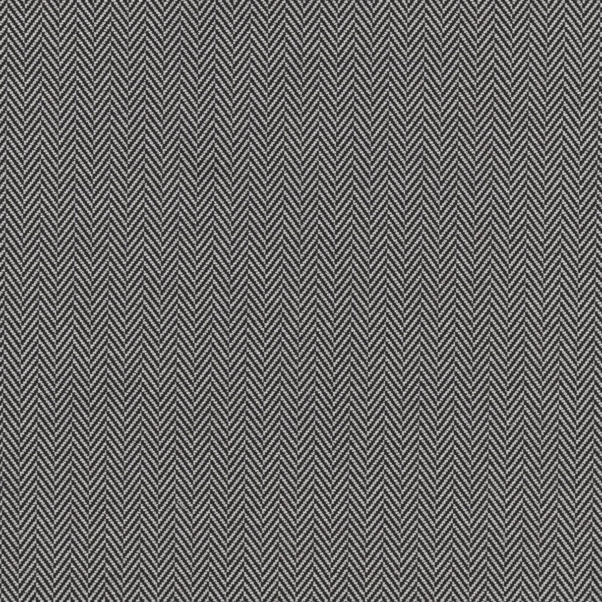 Clarke & Clarke BW1026 BLACK/WHITE Fabric