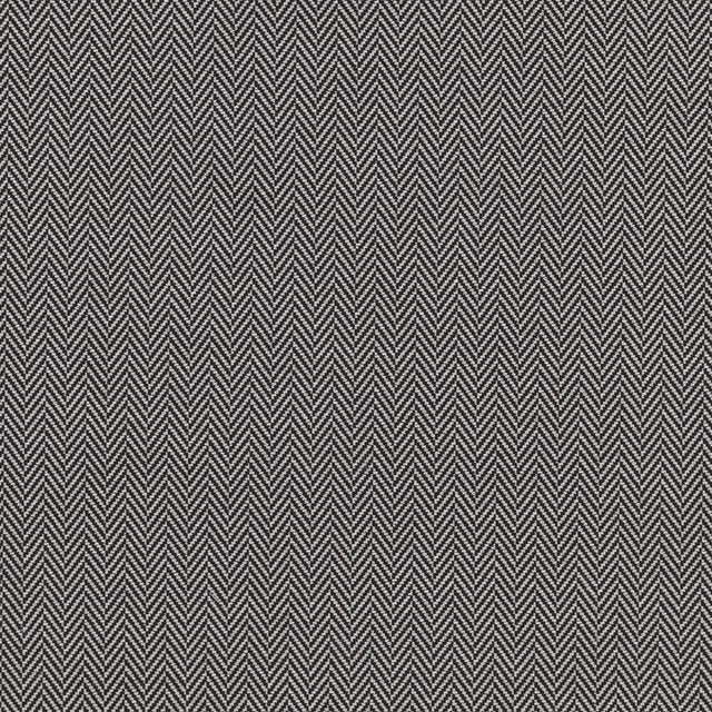 Clarke & Clarke BW1026 BLACK/WHITE Fabric
