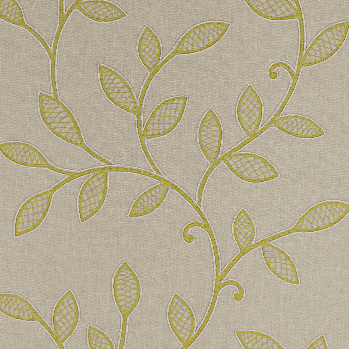 Clarke & Clarke HETTON ACACIA Drapery Fabric