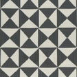 Clarke & Clarke ADISA CHARCOAL Drapery Fabric