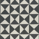 Clarke & Clarke ADISA CHARCOAL Drapery Fabric