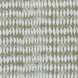 Clarke & Clarke AMARA CINNAMON Drapery Fabric