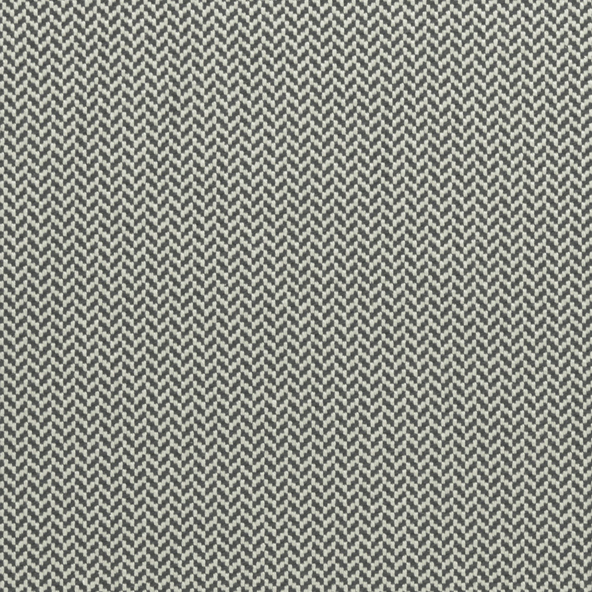 Clarke & Clarke ZALIKA CHARCOAL Fabric