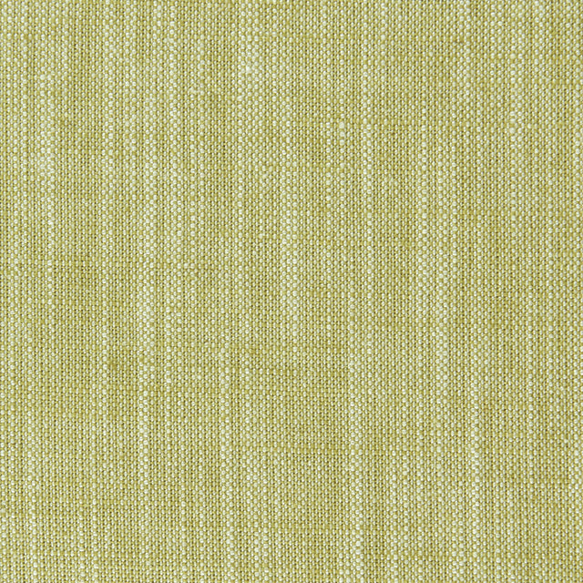 Clarke & Clarke BIARRITZ CITRUS Fabric