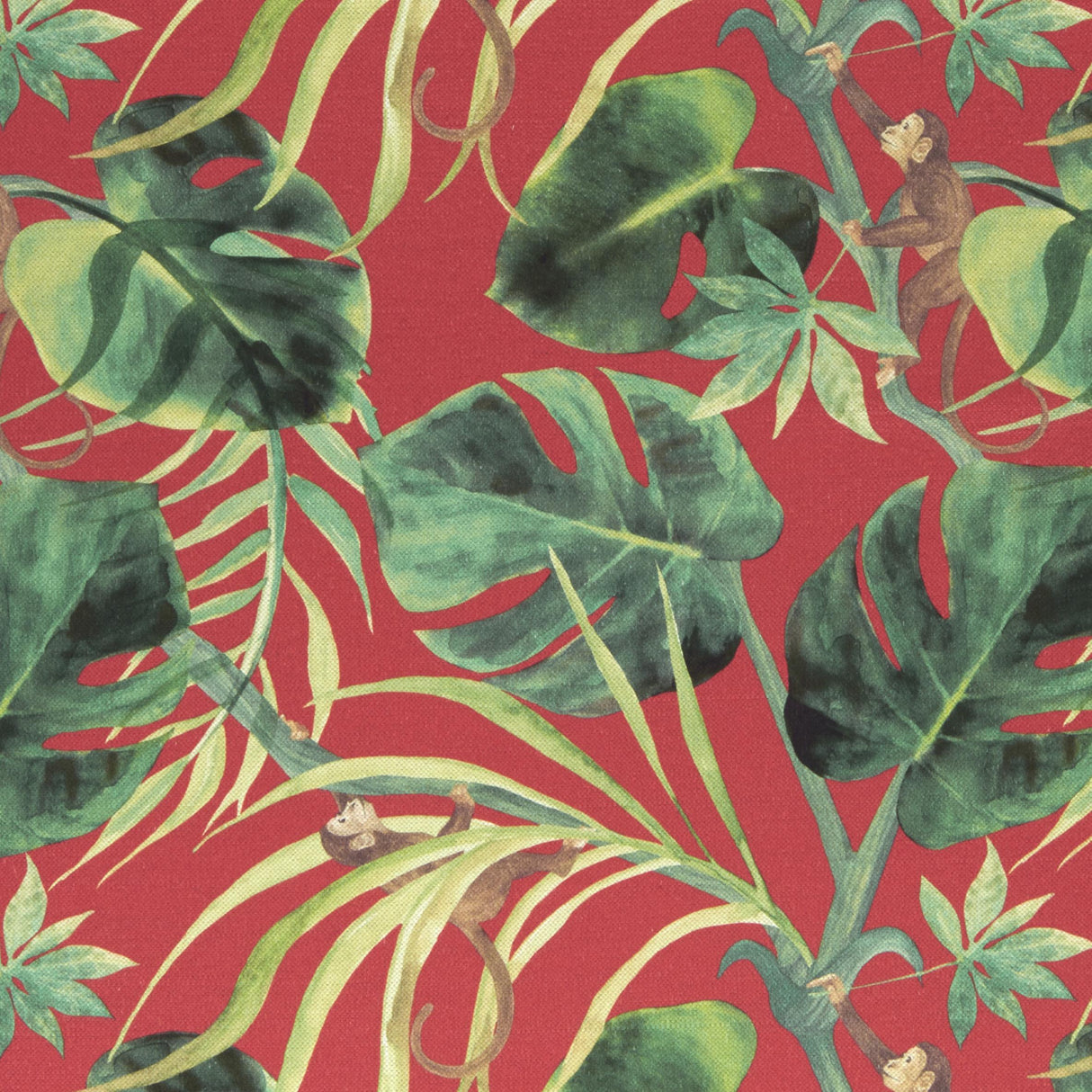 Clarke & Clarke MONKEY BUSINESS ROUGE Fabric