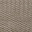 Clarke & Clarke TEMPO ASH Upholstery Fabric