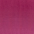 Clarke & Clarke PULSE SORBET Fabric