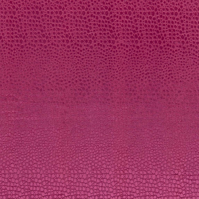 Clarke & Clarke PULSE SORBET Fabric
