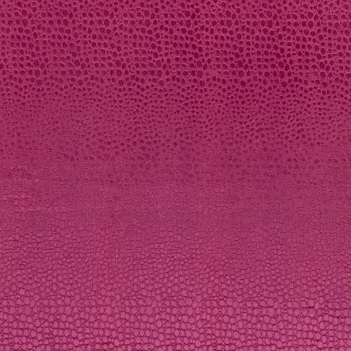 Clarke & Clarke PULSE SORBET Fabric