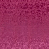 Clarke & Clarke PULSE SORBET Fabric