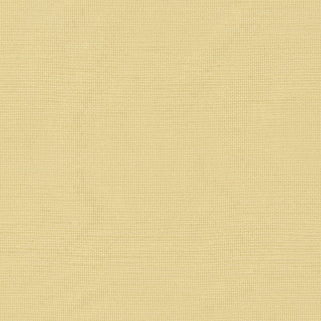 Clarke & Clarke NANTUCKET CORN Fabric
