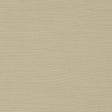 Clarke & Clarke NANTUCKET SESAME Fabric