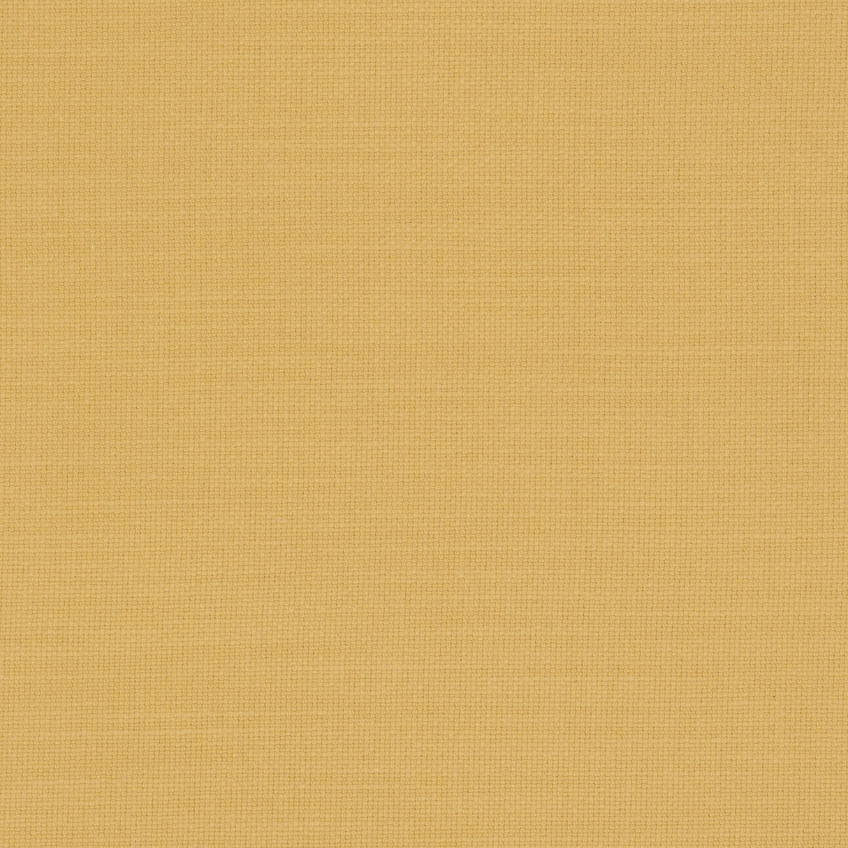 Clarke & Clarke NANTUCKET SUNFLOWER Fabric