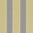 Clarke & Clarke CHATBURN CITRUS Fabric