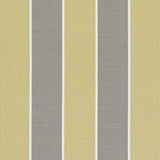 Clarke & Clarke CHATBURN CITRUS Fabric