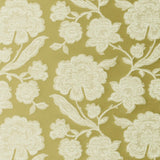 Clarke & Clarke DOWNHAM CITRUS Drapery Fabric