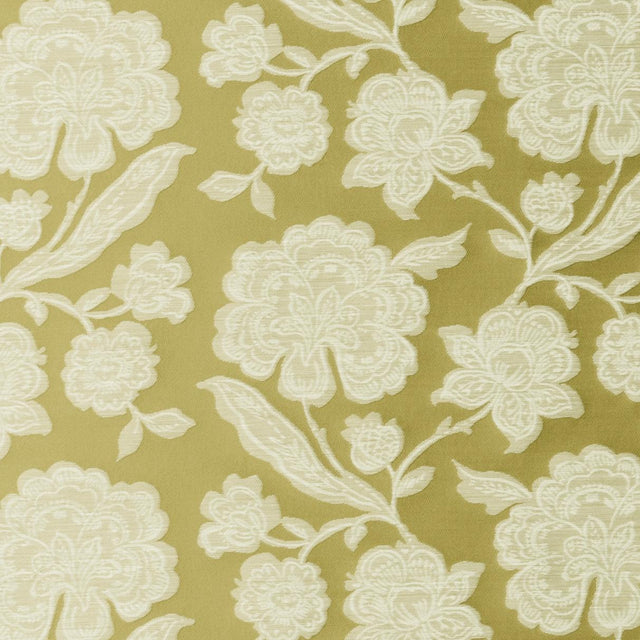 Clarke & Clarke DOWNHAM CITRUS Drapery Fabric
