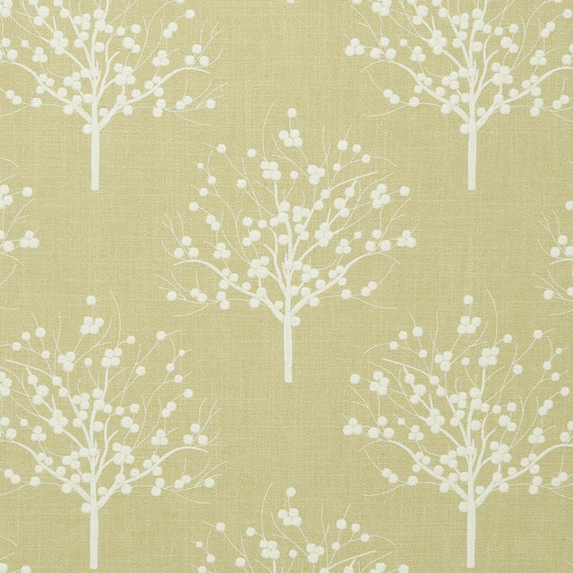 Clarke & Clarke BOWOOD SAGE Drapery Fabric