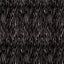 Clarke & Clarke ONDA EBONY Fabric