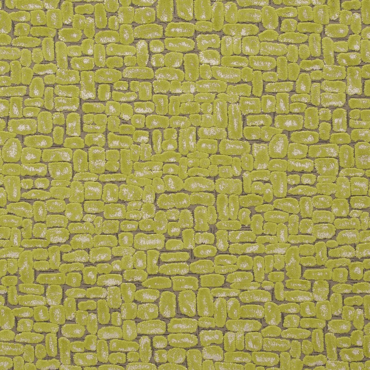 Clarke & Clarke MODA CITRUS Fabric