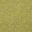 Clarke & Clarke MODA CITRUS Fabric