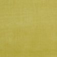 Clarke & Clarke ALVAR OLIVE Fabric