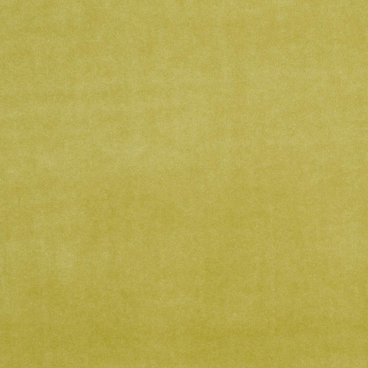 Clarke & Clarke ALVAR OLIVE Fabric