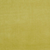 Clarke & Clarke ALVAR OLIVE Fabric