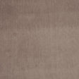 Clarke & Clarke ALVAR BEAVER Fabric