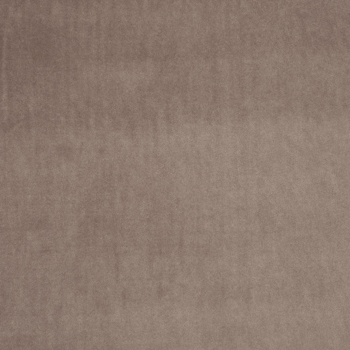 Clarke & Clarke ALVAR BEAVER Fabric