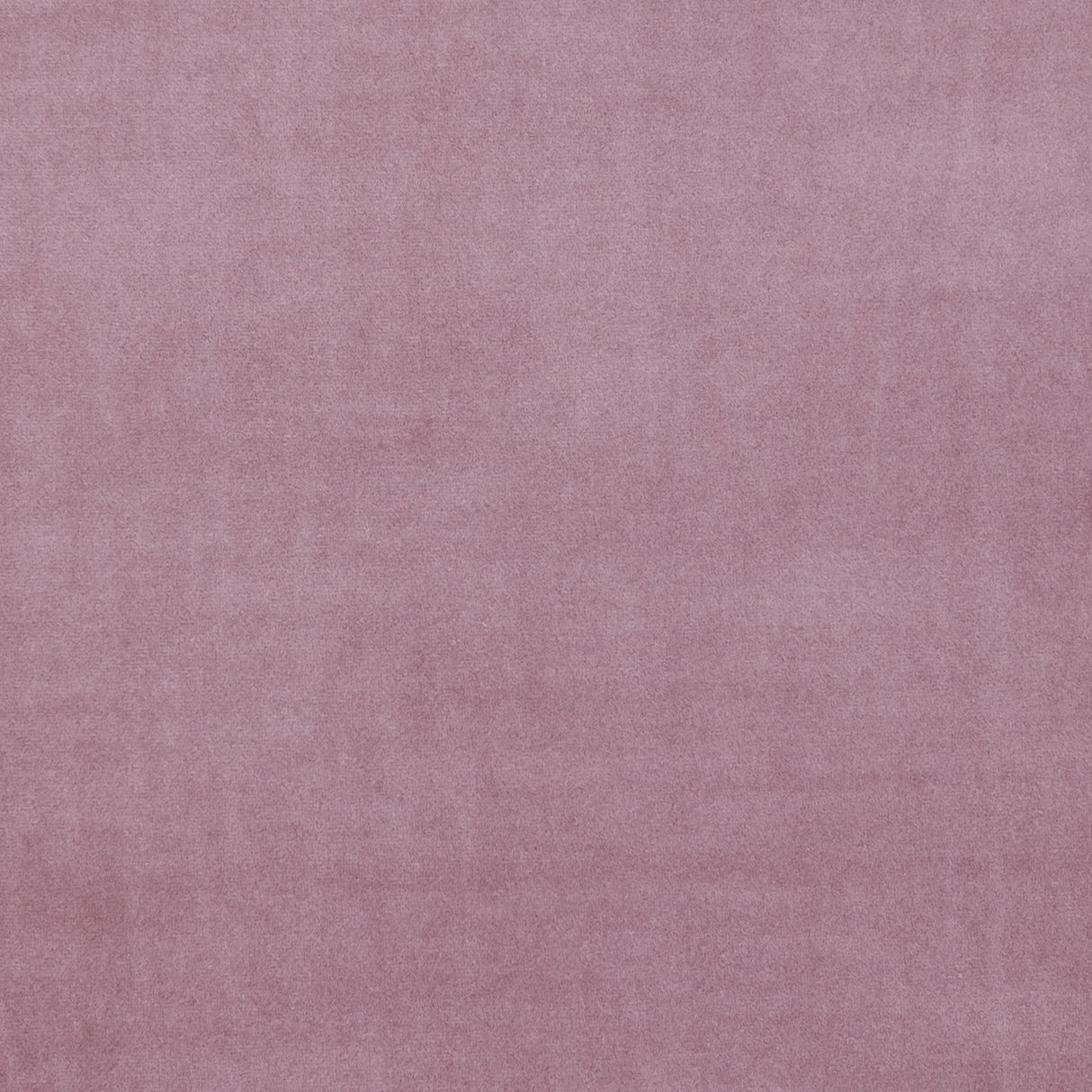 Clarke & Clarke ALVAR BLUSH Fabric