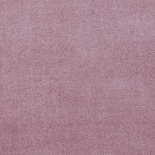 Clarke & Clarke ALVAR BLUSH Fabric