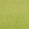 Clarke & Clarke ALVAR CITRON Fabric