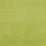 Clarke & Clarke ALVAR CITRON Fabric