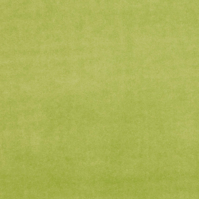 Clarke & Clarke ALVAR CITRON Fabric