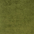 Clarke & Clarke CARLO OLIVE Fabric