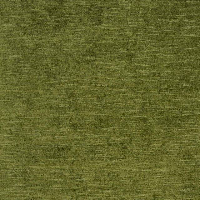 Clarke & Clarke CARLO OLIVE Fabric