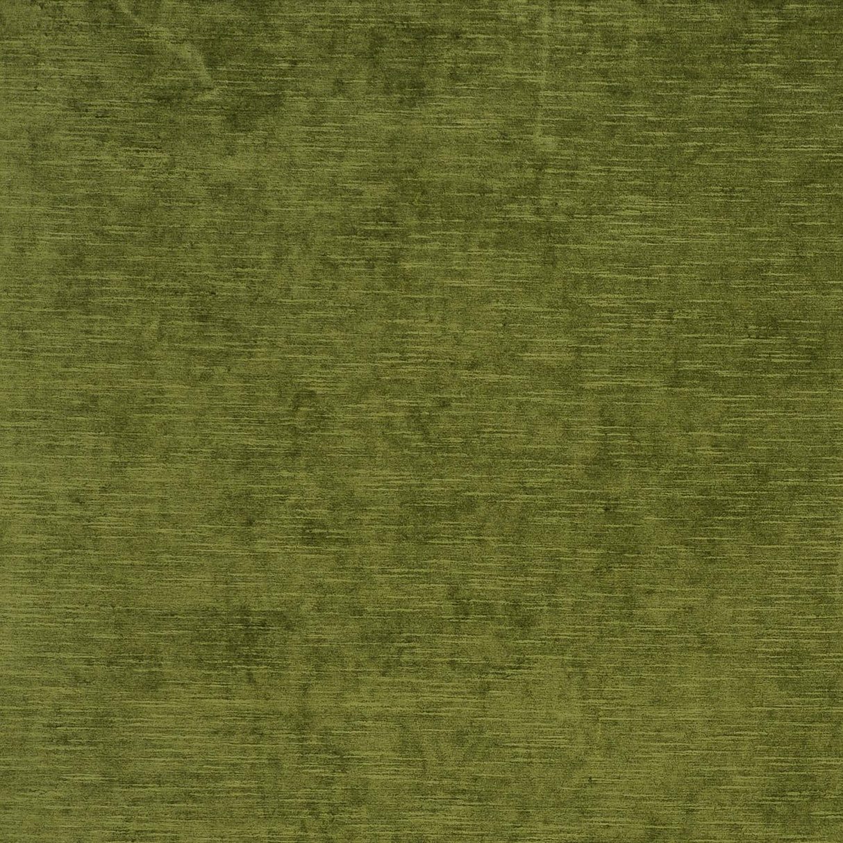 Clarke & Clarke CARLO OLIVE Fabric