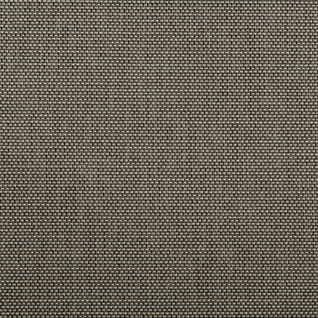 Kravet KRAVET CONTRACT 4645-1621 Fabric