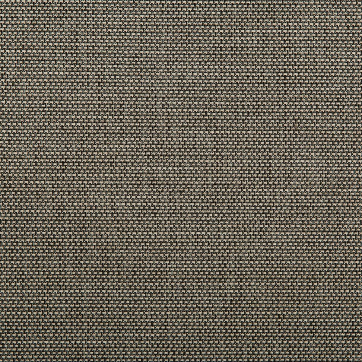 Kravet 4645 1621 Fabric