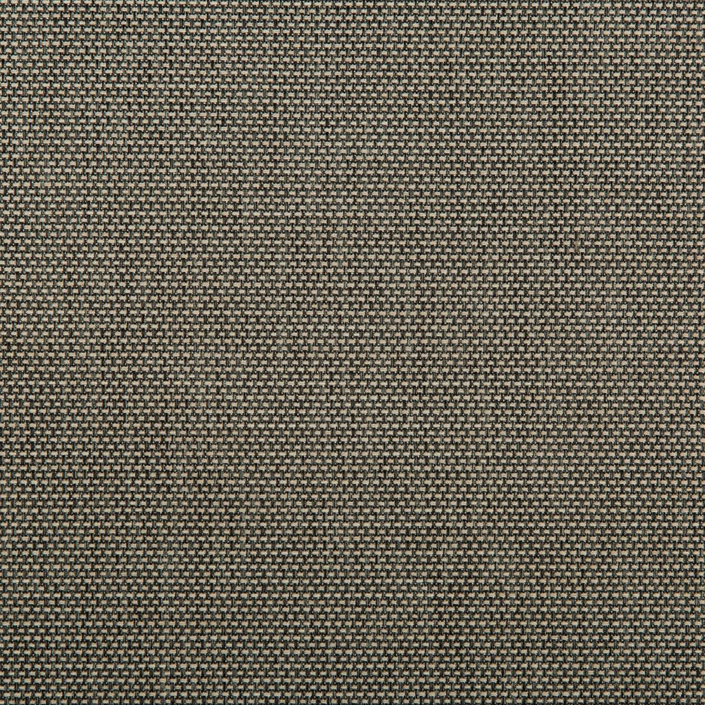 Kravet 4645 1621 Fabric