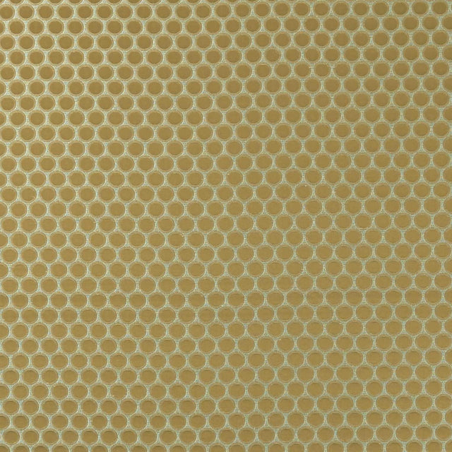 Clarke & Clarke DUOMO ANTIQUE Fabric