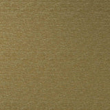 Clarke & Clarke LUCANIA ANTIQUE Fabric