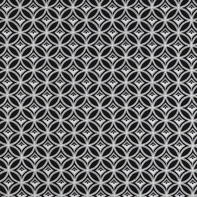 Clarke & Clarke BW1009 BLACK/WHITE Drapery Fabric