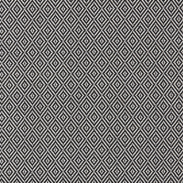 Clarke & Clarke BW1025 BLACK/WHITE Fabric