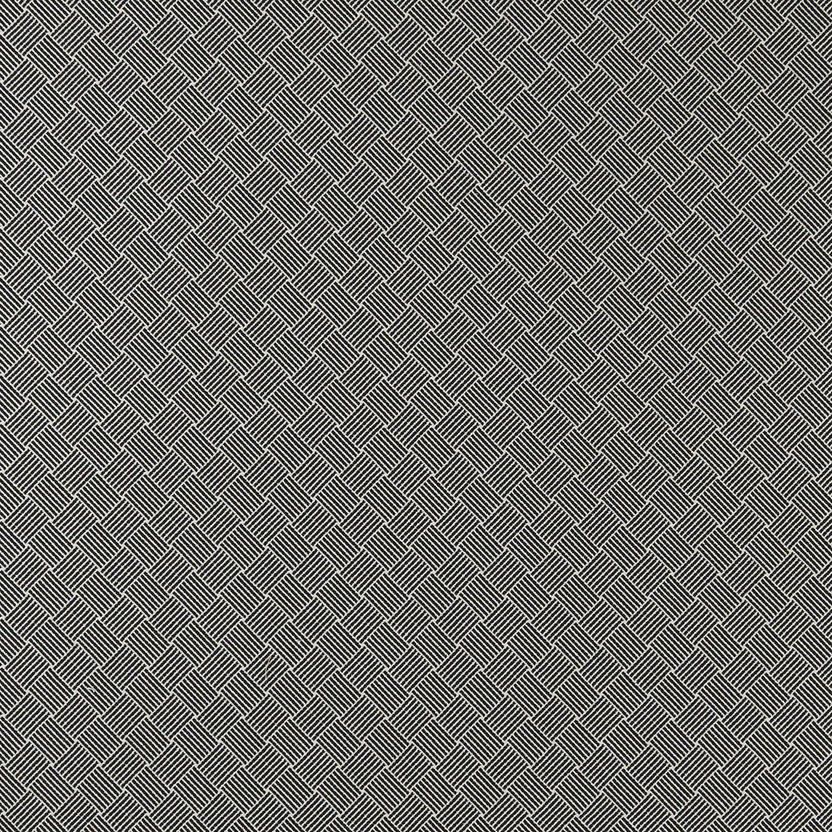 Clarke & Clarke BW1031 BLACK/WHITE Fabric