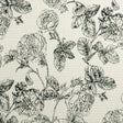 Clarke & Clarke BW1035 BLACK/WHITE Fabric