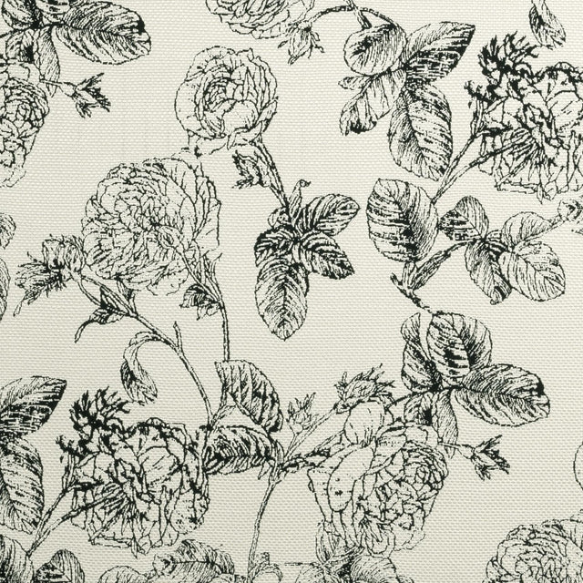 Clarke & Clarke BW1035 BLACK/WHITE Fabric