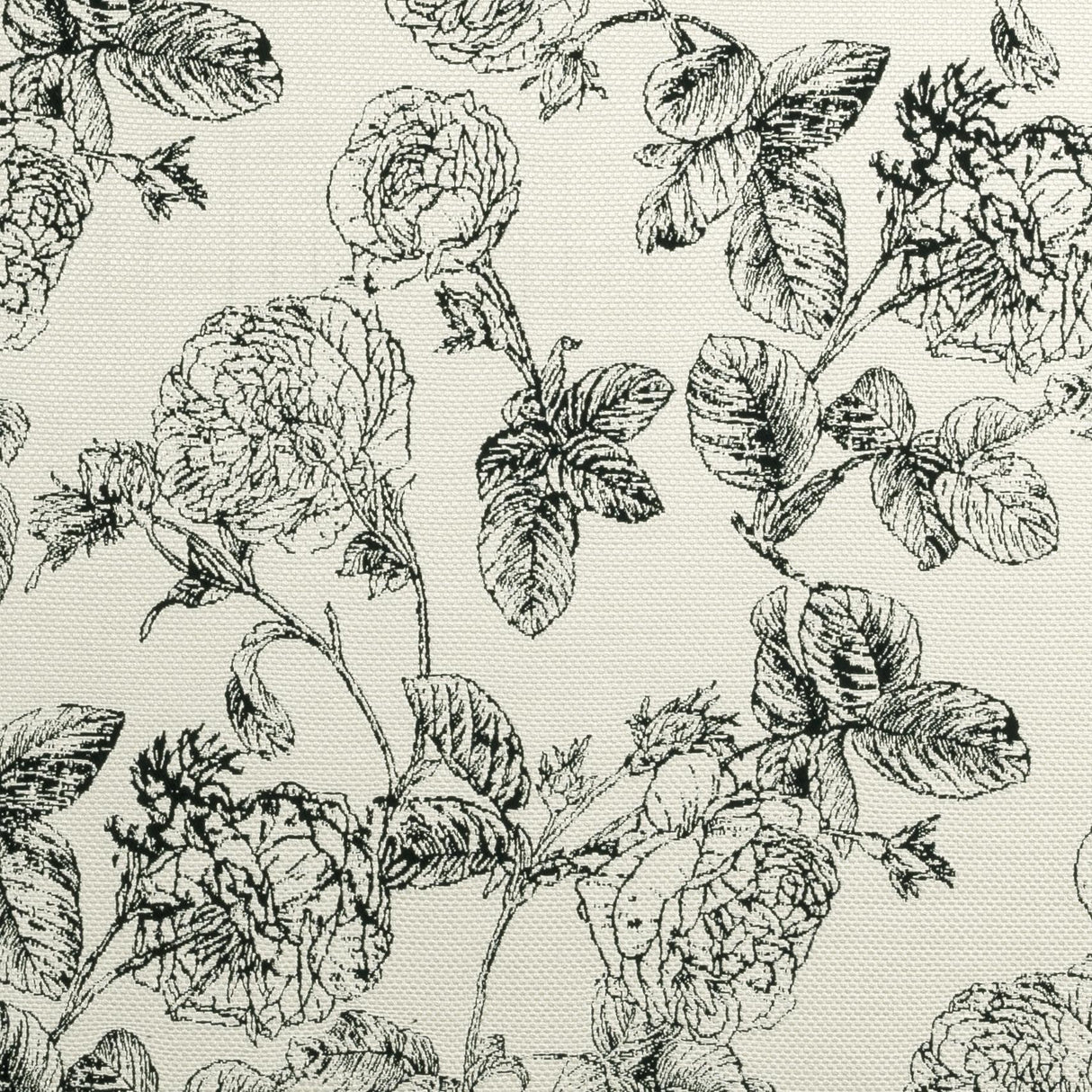 Clarke & Clarke BW1035 BLACK/WHITE Fabric